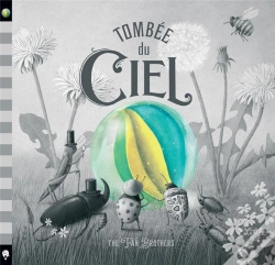 Capa do artigo Tombée Du Ciel