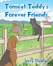 Capa do artigo Tomcat Teddy