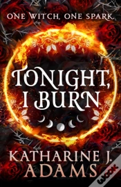 Capa do artigo Tonight, I Burn