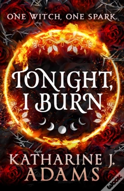Capa do artigo Tonight, I Burn