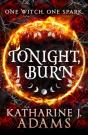 Tonight, I Burn - Preview