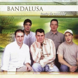 Capa do artigo Tonto de saudade - CD