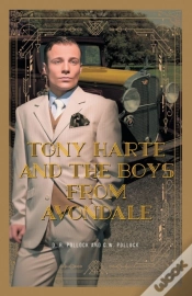 Capa do artigo Tony Harte And The Boys From Avondale
