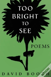 Capa do artigo Too Bright To See