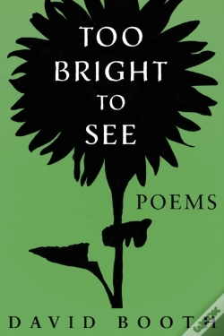 Capa do artigo Too Bright To See