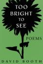Too Bright To See - Preview