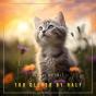 Too Clever By Half - Preview