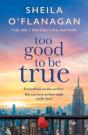 Too Good To Be True - Preview