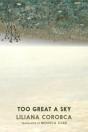 Too Great A Sky - Preview