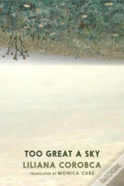 Capa do artigo Too Great A Sky