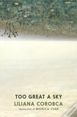 Capa do artigo Too Great A Sky