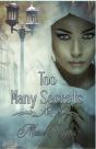 Too Many Secrets - Preview