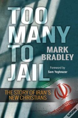 Capa do artigo Too Many To Jail