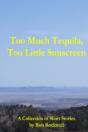 Too Much Tequila, Too Little Sunscreen - Preview
