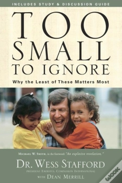 Capa do artigo Too Small To Ignore