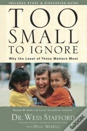 Capa do artigo Too Small To Ignore
