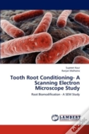 Capa do artigo Tooth Root Conditioning- A Scanning Electron Microscope Study