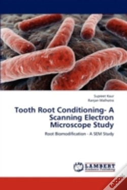 Capa do artigo Tooth Root Conditioning- A Scanning Electron Microscope Study