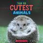 Top 10 Cutest Animals - Preview