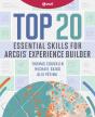 Top 20 Essential Skills For Arcgis Experience Builder - Preview