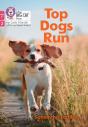 Top Dogs Run - Preview