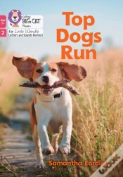 Capa do artigo Top Dogs Run