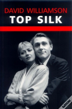 Capa do artigo Top Silk