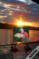 Top Tactics For Big Bream
