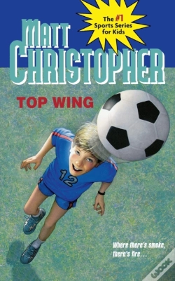 Capa do artigo Top Wing
