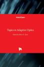 Topics In Adaptive Optics - Preview