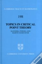 Topics In Critical Point Theory
