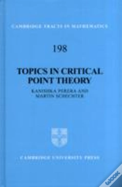 Capa do artigo Topics In Critical Point Theory