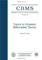 Topics In Dynamic Bifurcation Theory - Preview