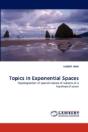 Topics In Exponential Spaces - Preview