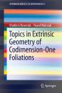 Topics In Extrinsic Geometry Of Codimension-One Foliations - Preview