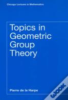 Topics In Geometric Group Theory