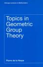Topics In Geometric Group Theory - Preview