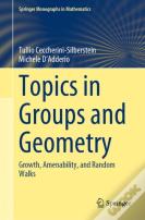 Topics In Groups And Geometry