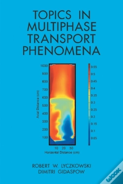 Capa do artigo Topics In Multiphase Transport Phenomena