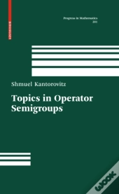 Topics In Operator Semigroups