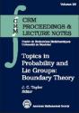 Topics In Probability And Lie Groups - Preview