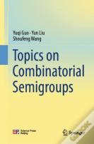Topics On Combinatorial Semigroups