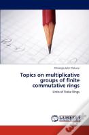 Topics On Multiplicative Groups Of Finite Commutative Rings