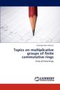 Topics On Multiplicative Groups Of Finite Commutative Rings - Preview