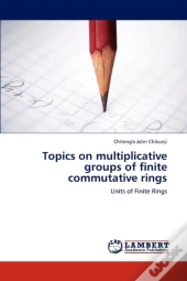 Topics On Multiplicative Groups Of Finite Commutative Rings