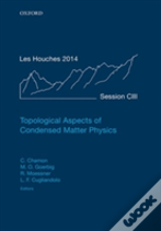 Topological Aspects Of Condensed Matter Physics