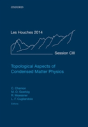 Topological Aspects Of Condensed Matter Physics - Preview