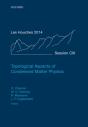 Topological Aspects Of Condensed Matter Physics - Preview