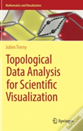Topological Data Analysis For Scientific Visualization