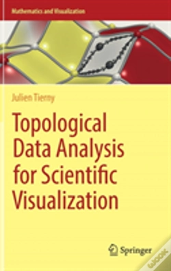 Capa do artigo Topological Data Analysis For Scientific Visualization